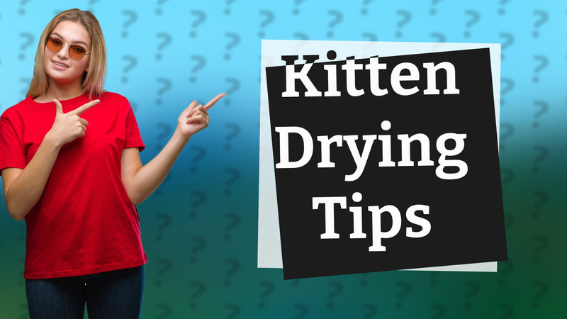 Kitten Drying Tips
