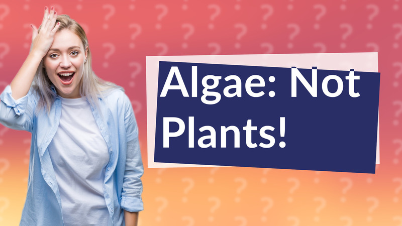 Algae: Not Plants!