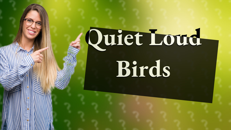 Quiet Loud Birds