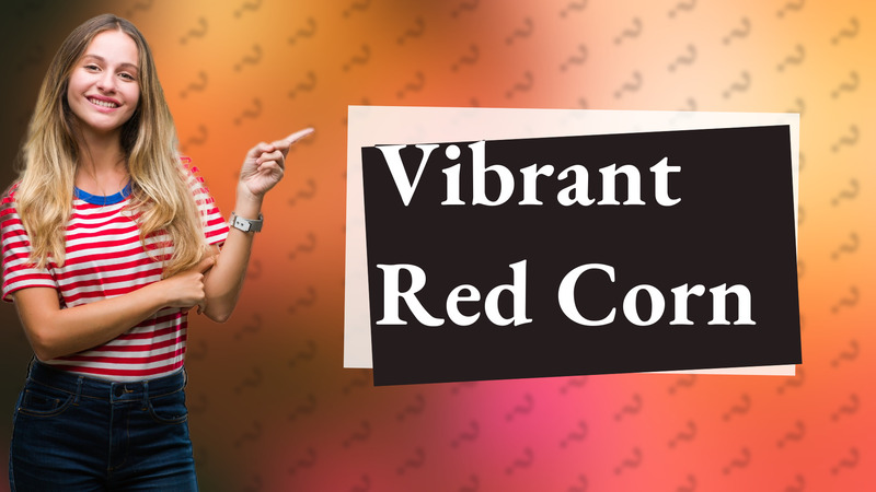 Vibrant Red Corn