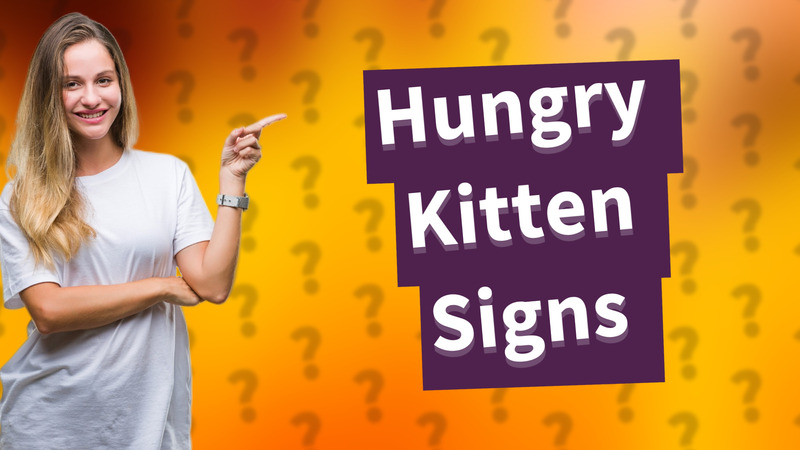 Hungry Kitten Signs