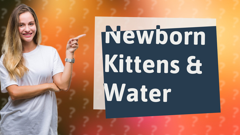 Newborn Kittens & Water
