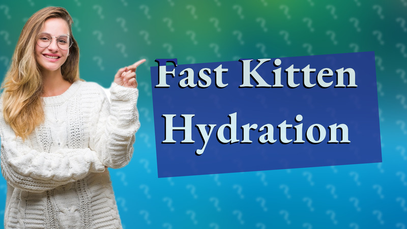 Fast Kitten Hydration