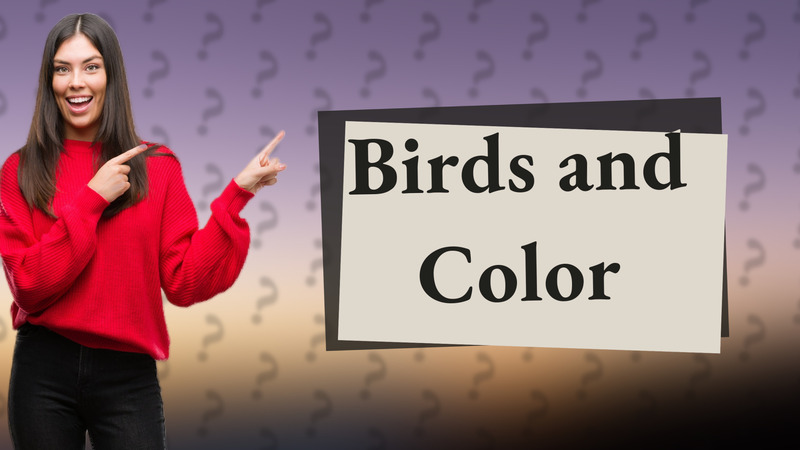 Birds and Color