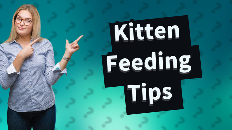 Kitten Feeding Tips