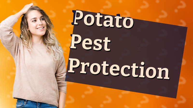 Potato Pest Protection