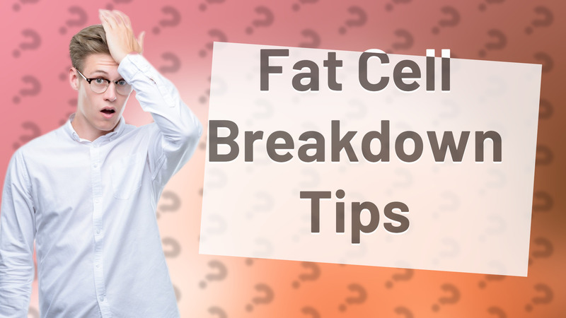 Fat Cell Breakdown Tips