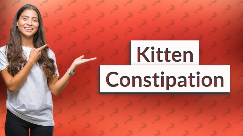 Kitten Constipation