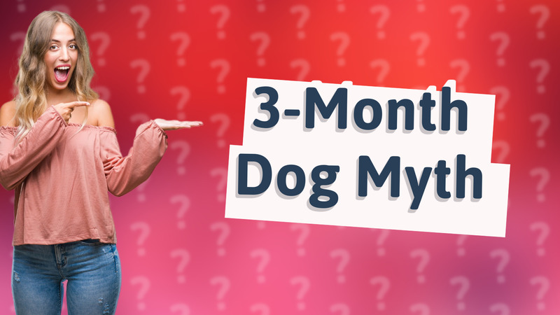 3-Month Dog Myth