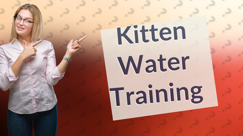 Kitten Water Training
