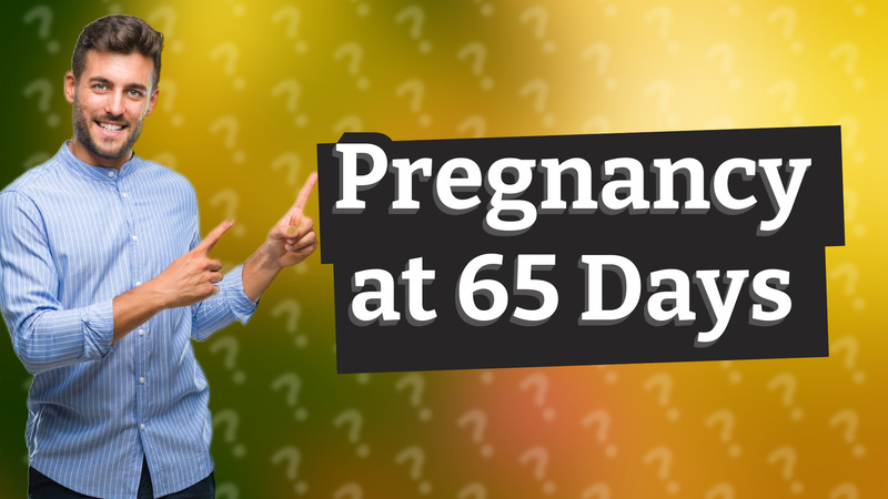 Pregnancy at 65 Days