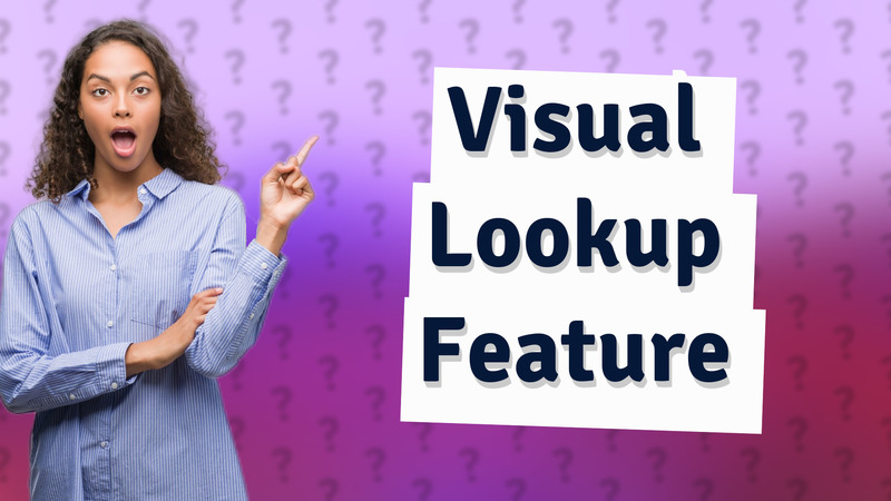 Visual Lookup Feature