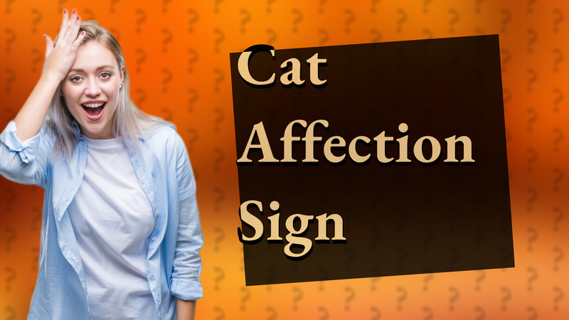 Cat Affection Sign