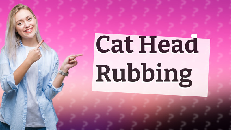 Cat Head Rubbing