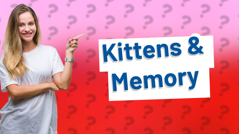 Kittens & Memory