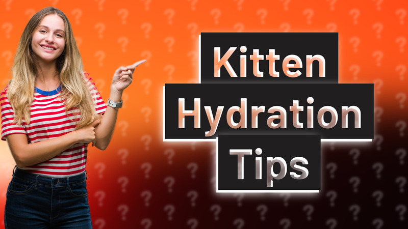 Kitten Hydration Tips