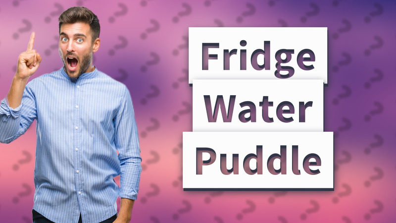 Fridge Water Puddle
