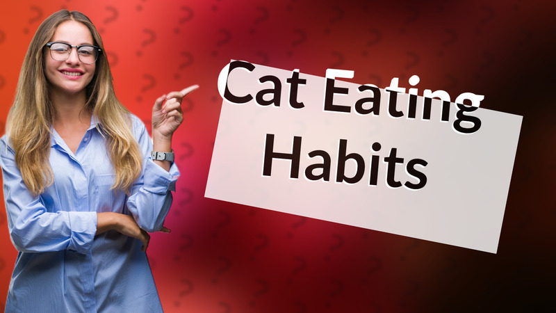 Cat Eating Habits