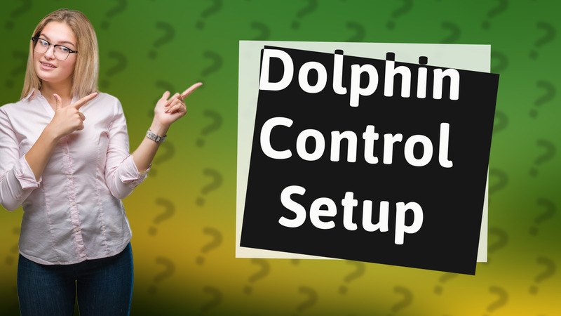 Dolphin Control Setup