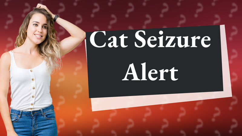 Cat Seizure Alert