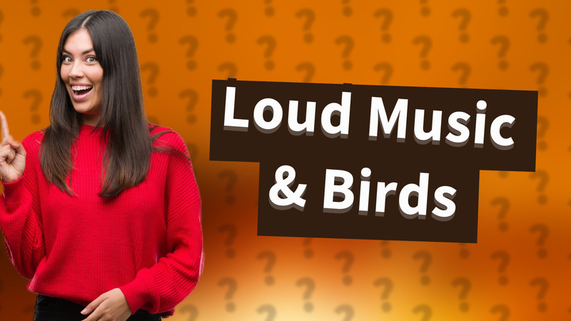 Loud Music & Birds