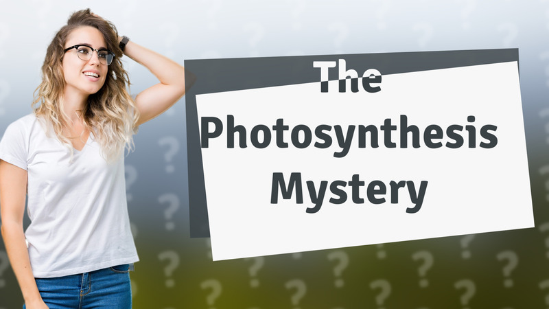 The Photosynthesis Mystery