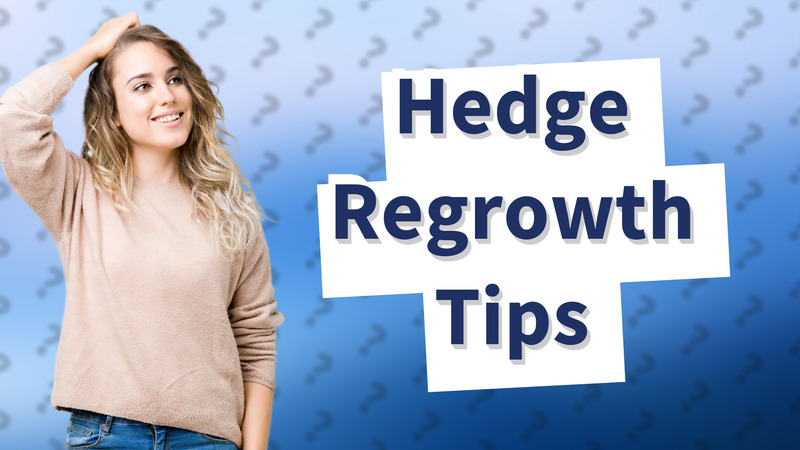 Hedge Regrowth Tips