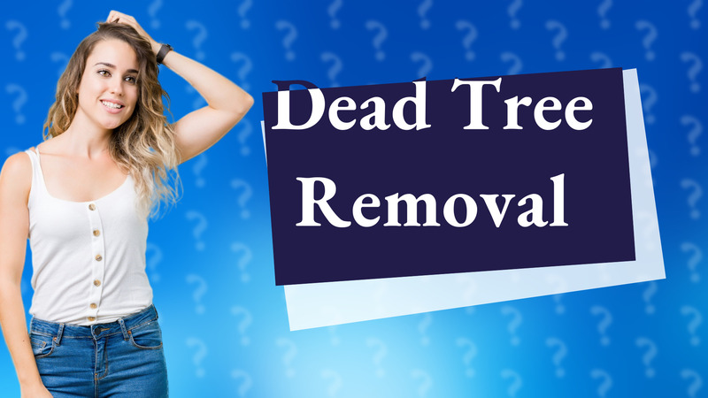 Dead Tree Removal
