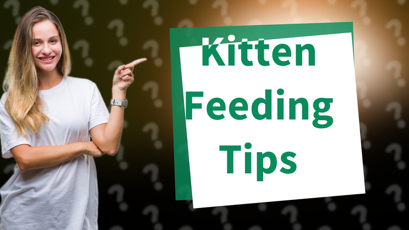 Kitten Feeding Tips