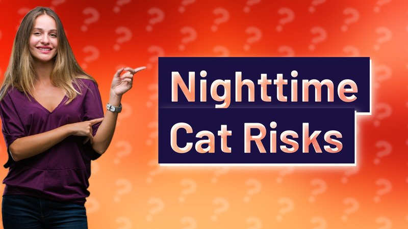 Nighttime Cat Risks