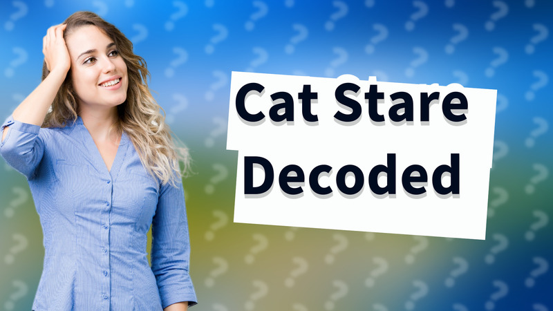 Cat Stare Decoded