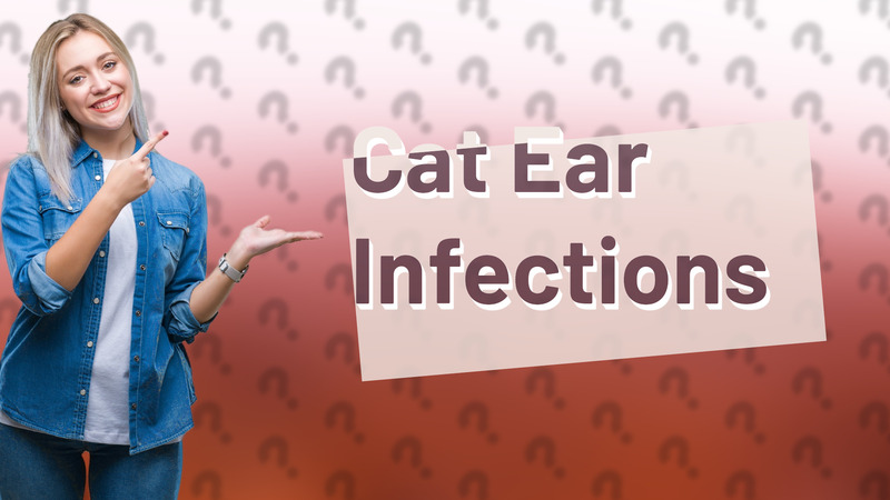 Cat Ear Infections