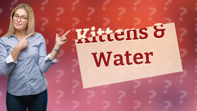 Kittens & Water