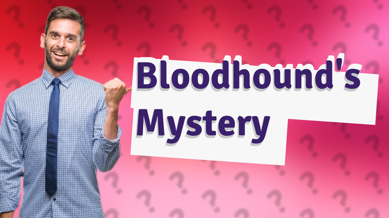 Bloodhound's Mystery