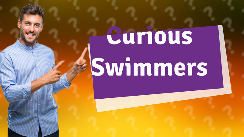 Curious Swimmers