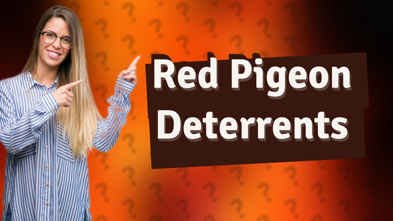 Red Pigeon Deterrents
