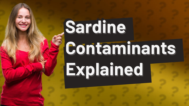 Sardine Contaminants Explained