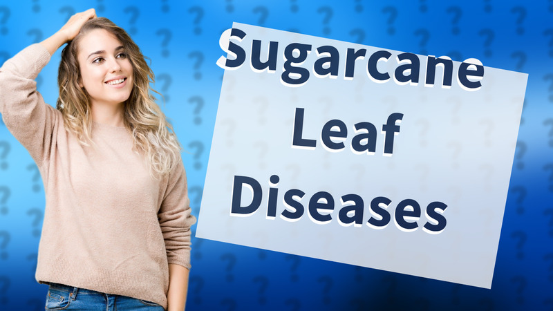 Sugarcane Leaf Diseases