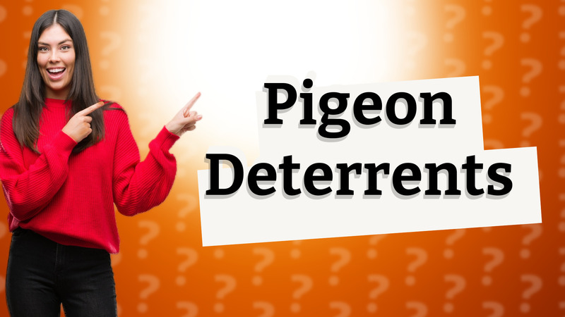 Pigeon Deterrents