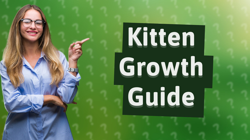 Kitten Growth Guide