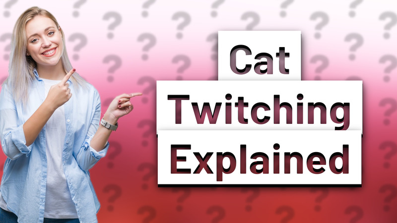 Cat Twitching Explained