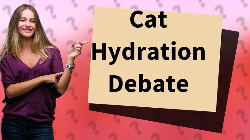 Cat Hydration Debate