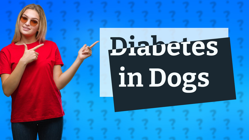 Diabetes in Dogs