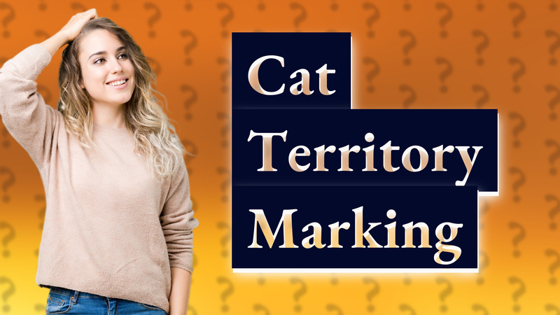 Cat Territory Marking