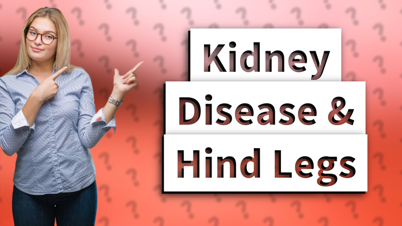 Kidney Disease & Hind Legs