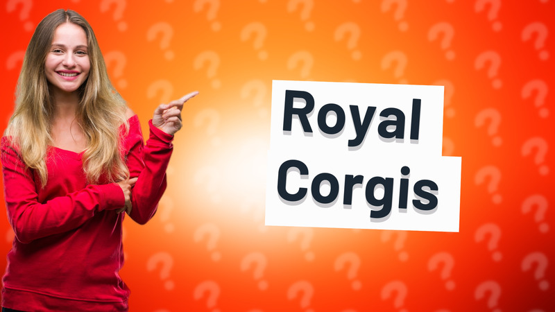 Royal Corgis