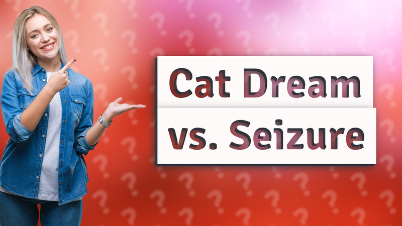 Cat Dream vs. Seizure