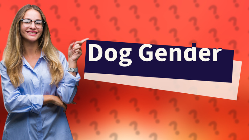 Dog Gender