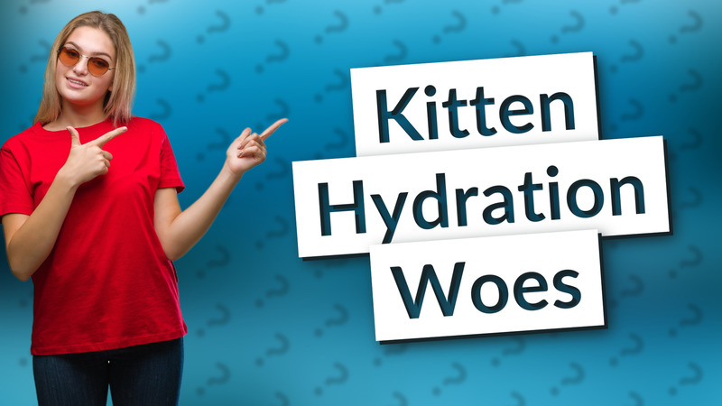 Kitten Hydration Woes