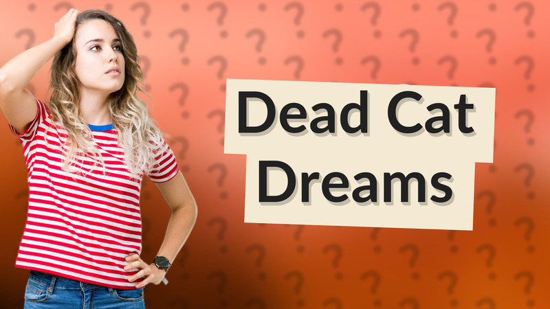 Dead Cat Dreams